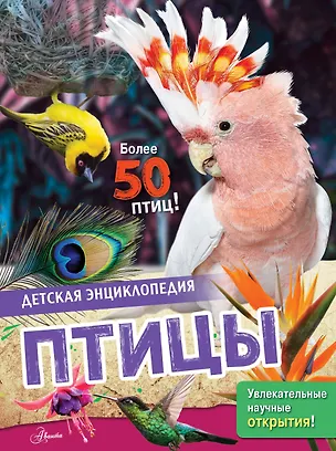 Книга Птицы (Энн МакРей)