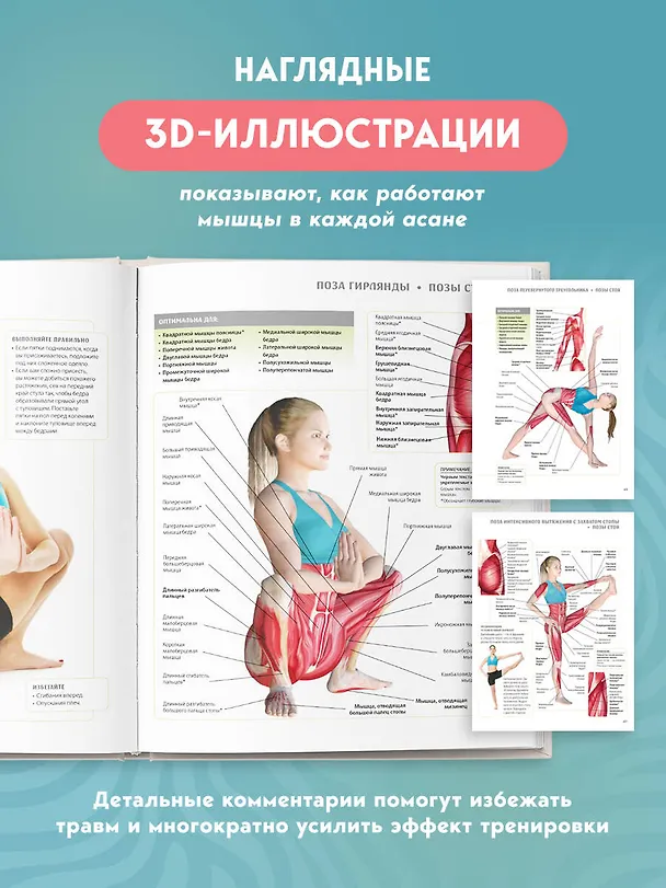 Книга Анатомия йоги. 50 главных асан с анатомическими иллюстрациями, для начинающих и продвинутых (Абигейл Эллсуорт) — 6