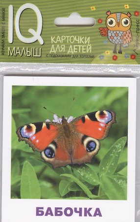 Умный малыш. Насекомые