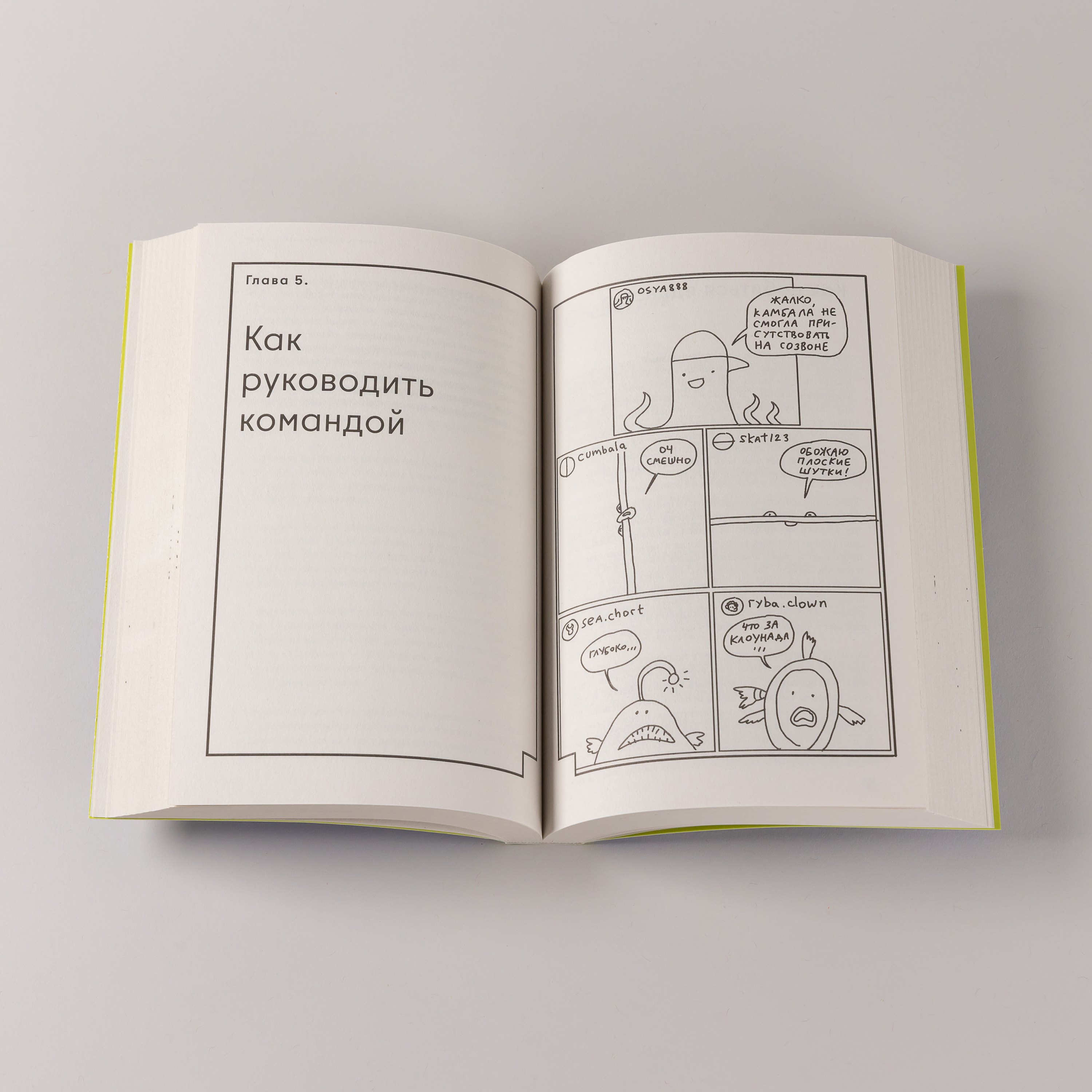 Изображение бумажной книги