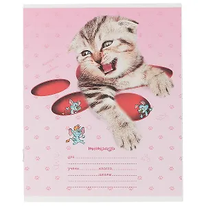 Тетрадь в клетку Hatber, "Кошки-мышки", 12 листов, в ассортименте