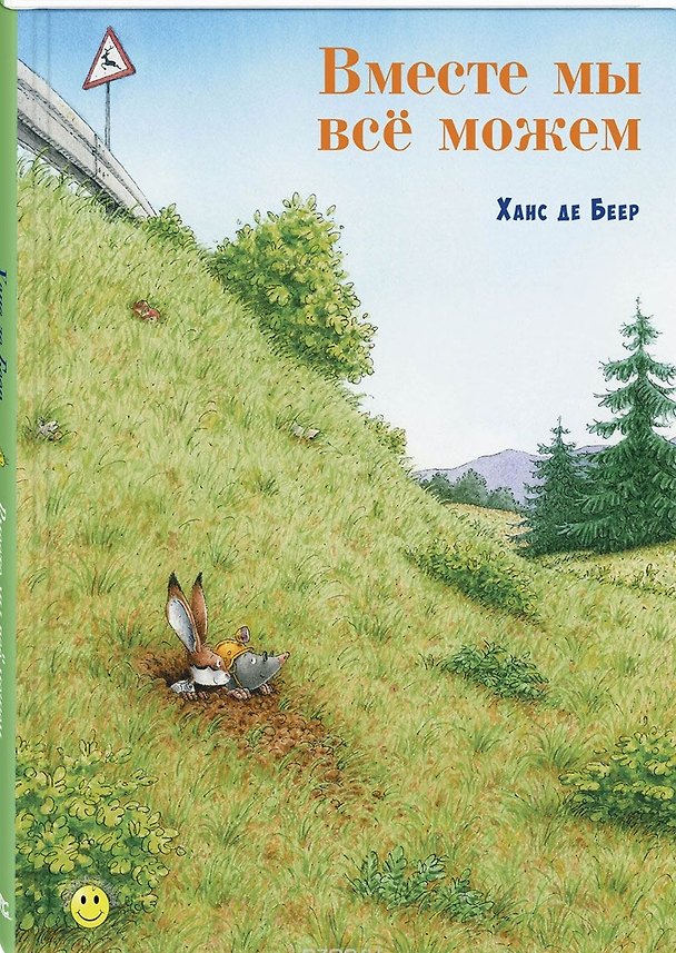 Книга Вместе мы всё можем (Ханс де Беер) — 1