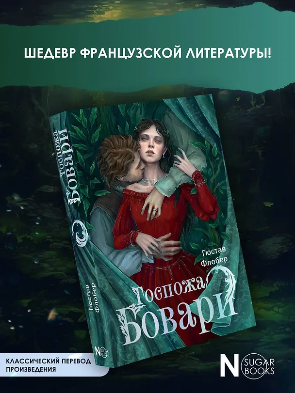 Книга Госпожа Бовари (Гюстав Флобер) — 5
