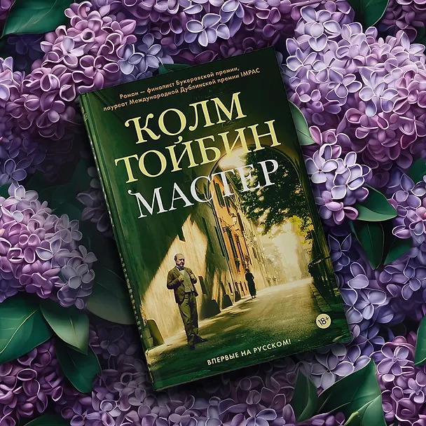 Книга Мастер (Колм Тойбин) — 13