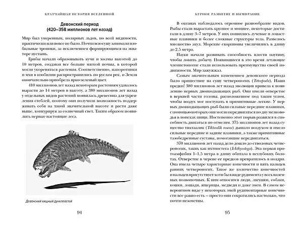 Книга Кратчайшая история Вселенной: От Большого взрыва до наших дней (в сверхдоступном изложении) (Дэвид Бейкер) — 18