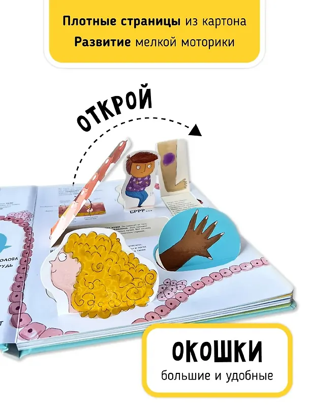 Книга Мои первые открытия «Тело человека» (Аня де Ломберт) — 4