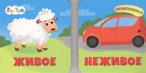 Живое. Неживое