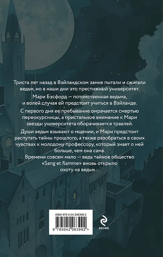 Книга Стихея: роман (Нана Рай) — 2