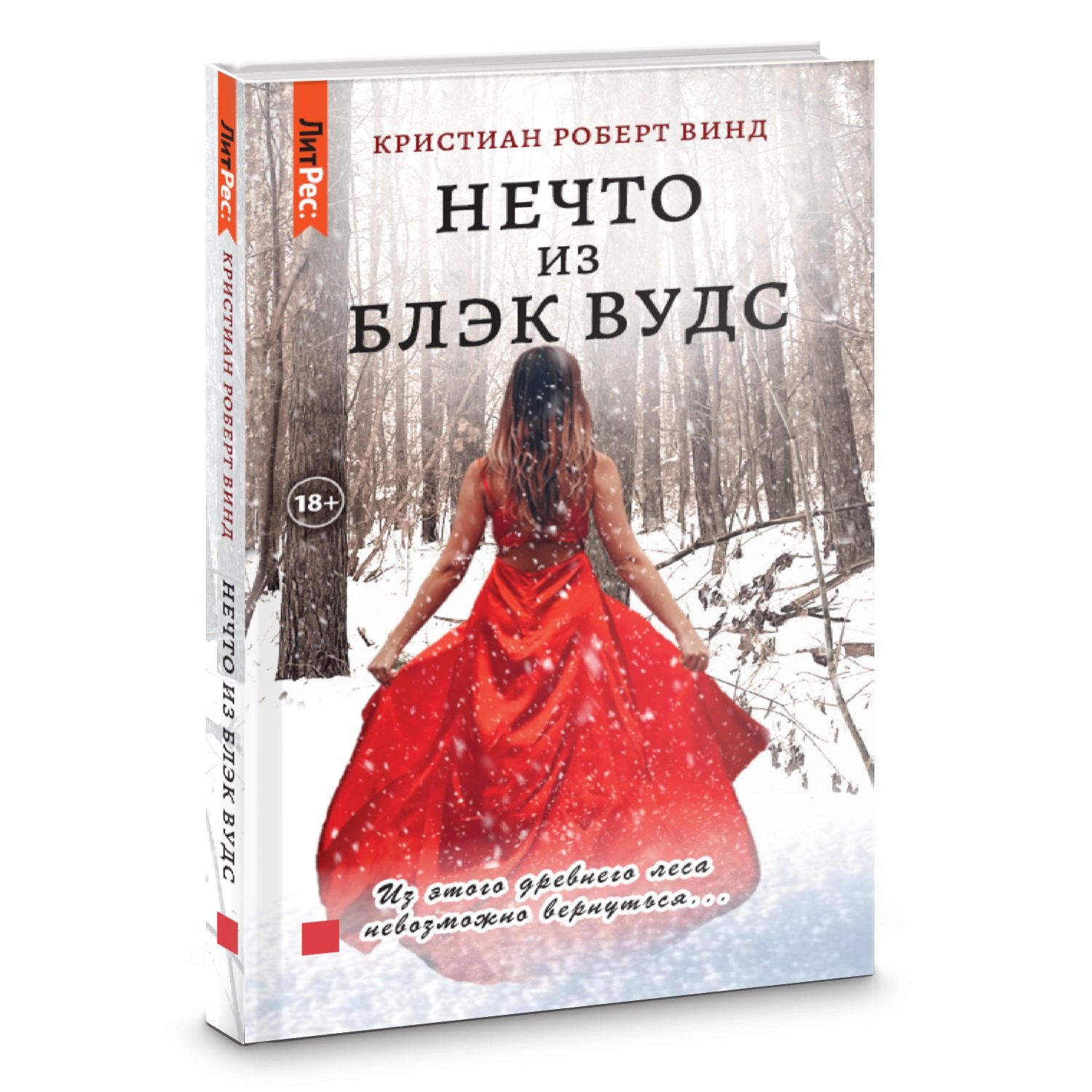 Изображение бумажной книги