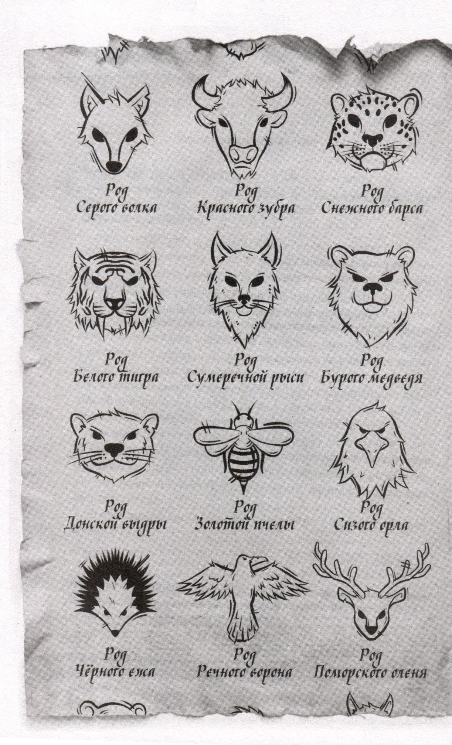 Изображение бумажной книги