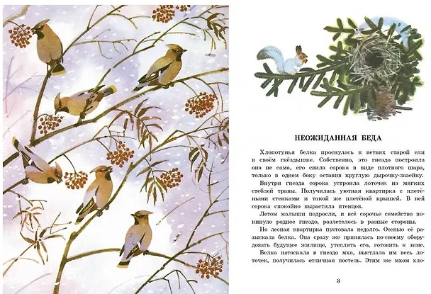 Книга Белочка-хлопотунья (Георгий Скребицкий) — 5