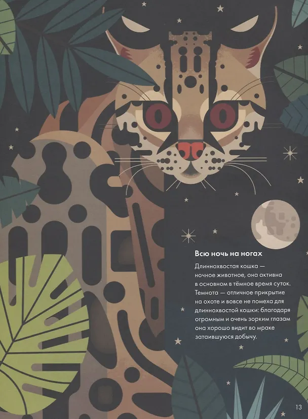 Книга Без ума от кошек (Дэйви Оуэн) — 6