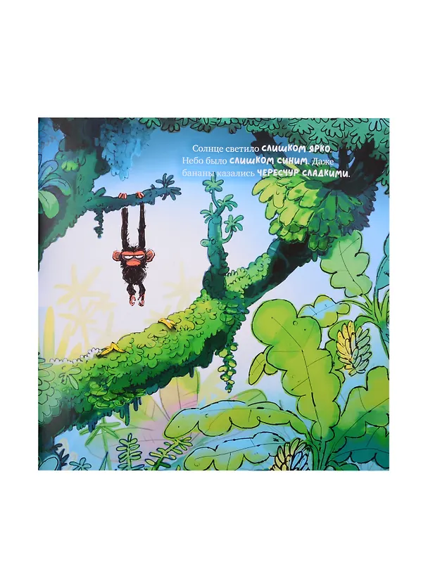 Книга Обезьянка-ворчун () — 3