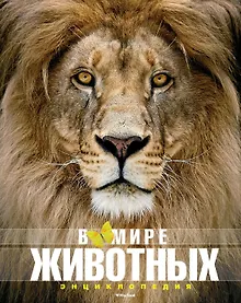 В мире животных