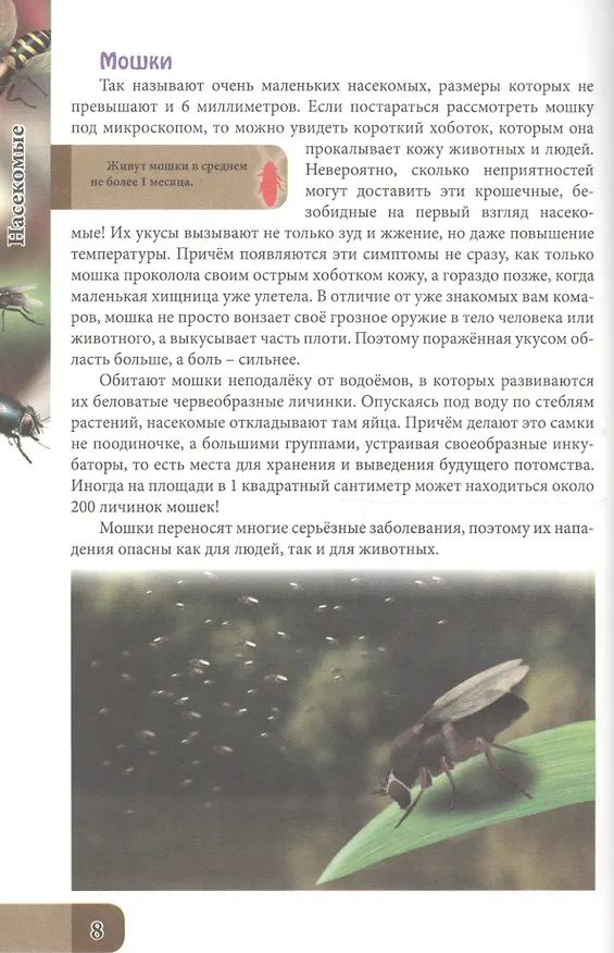 Книга ЭНЦИКЛОПЕДИЯ. В МИРЕ ЗНАНИЙ. УДИВИТЕЛЬНЫЙ МИР НАСЕКОМЫХ () — 4