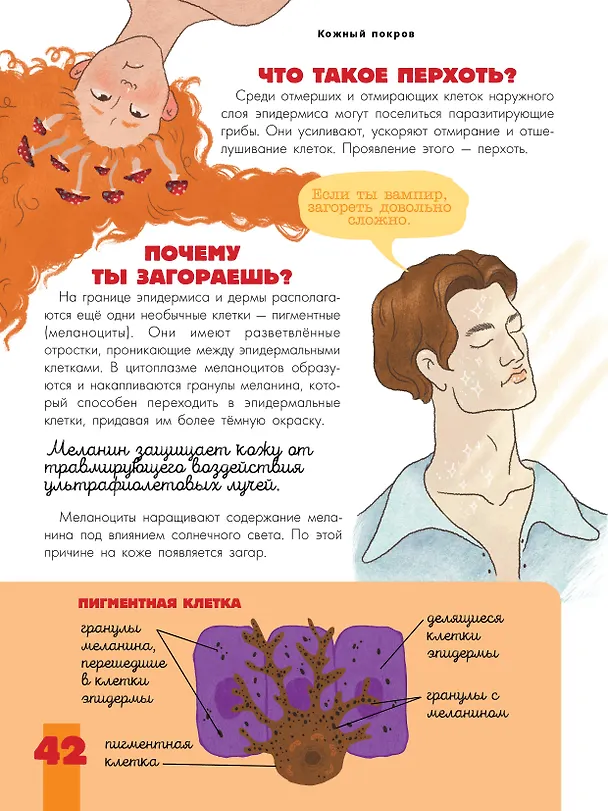 Книга Тело человека (Вячеслав Дубынин) — 15