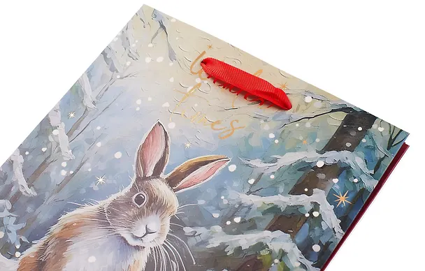 Пакет А5 23*18*10 "Зайка. Winter times" НГ, бум.мат.ламинат 3103113 — 2