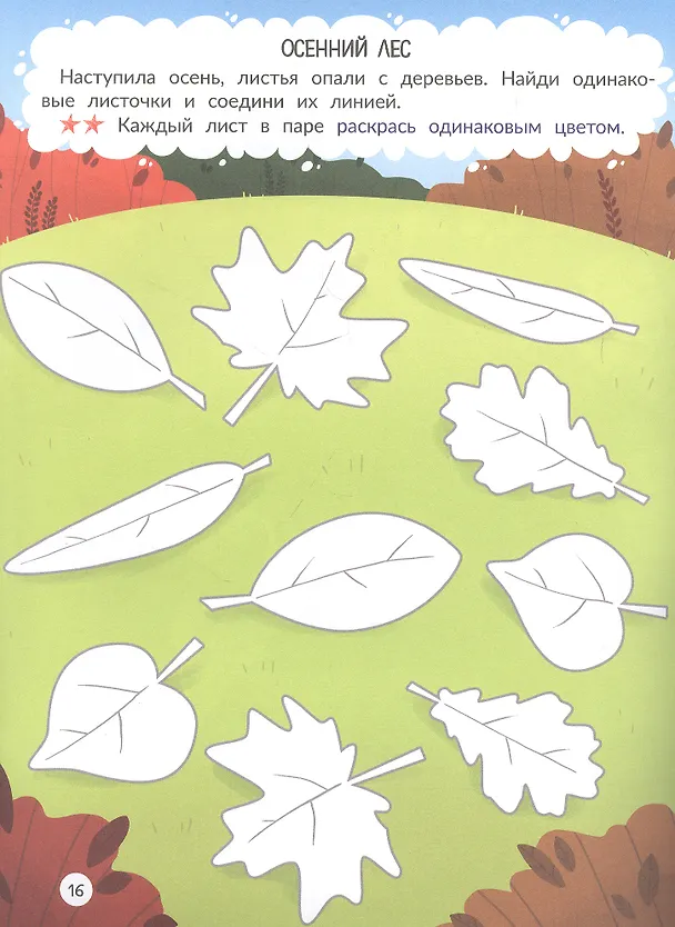 Книга Лес: книжка-раскраска (Анастасия Сунцова) — 4