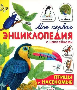 Птицы и насекомые: Книжка с наклейками — 2026619 — 1