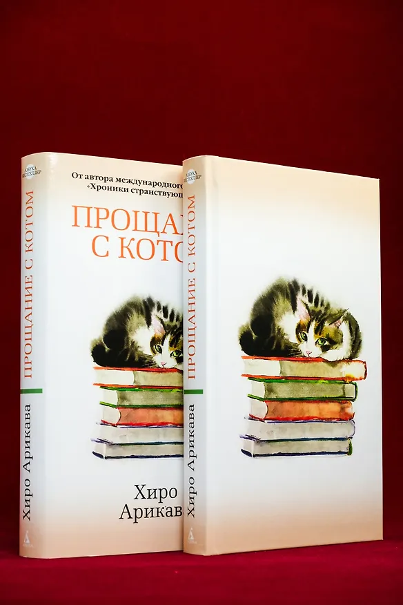 Книга Прощание с котом (Хиро Арикава) — 14