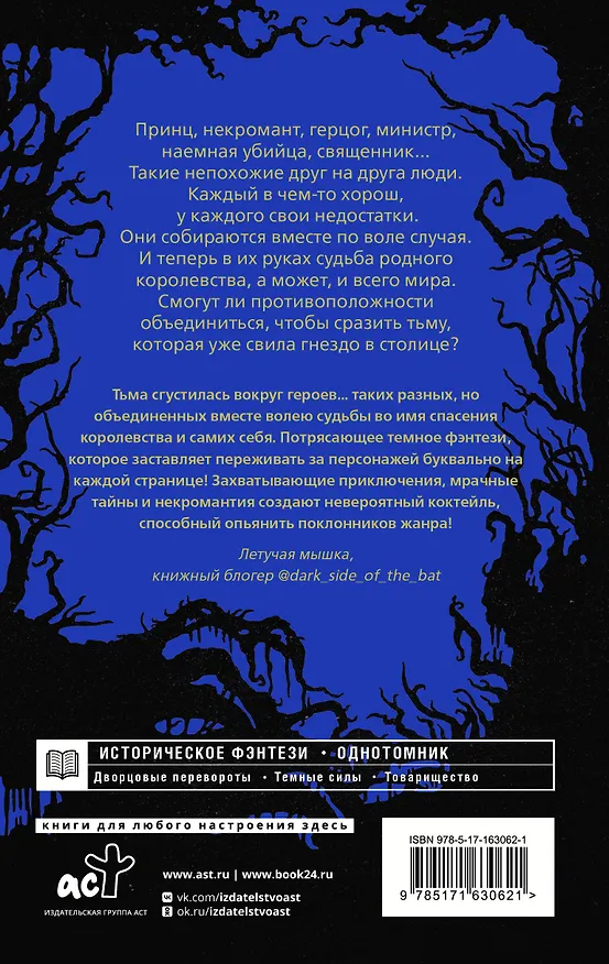 Книга Сумерки Баригора (Софья Соломонова) — 2