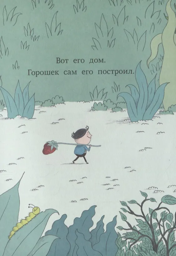 Книга Большое путешествие Горошка (Давид Кали) — 2