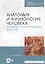 Анатомия и физиология человека. Дневник практических занятий — 2726080 — 1