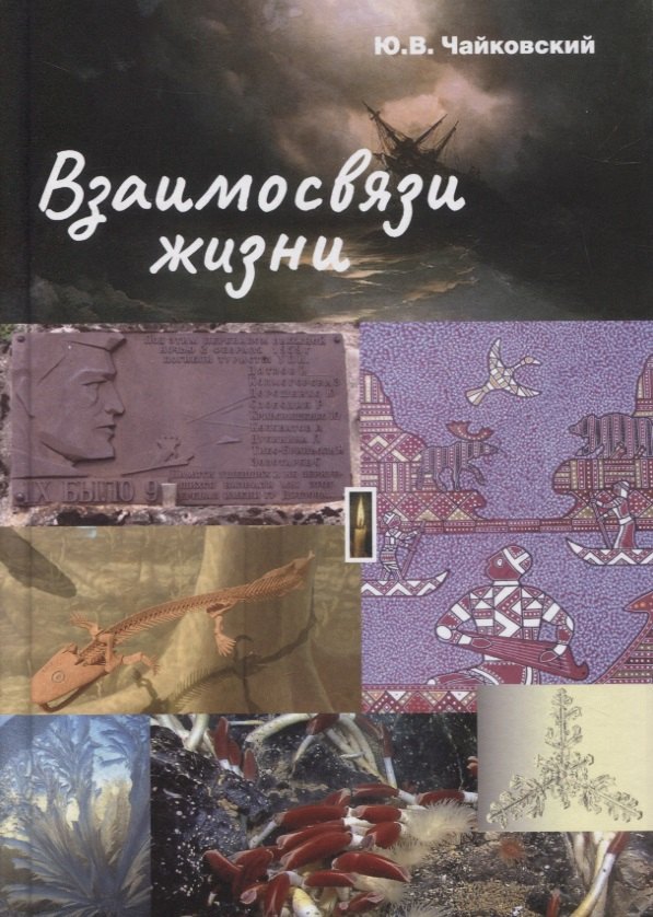 

Взаимосвязи жизни. Миниэнциклопедия дополняет. Том 1