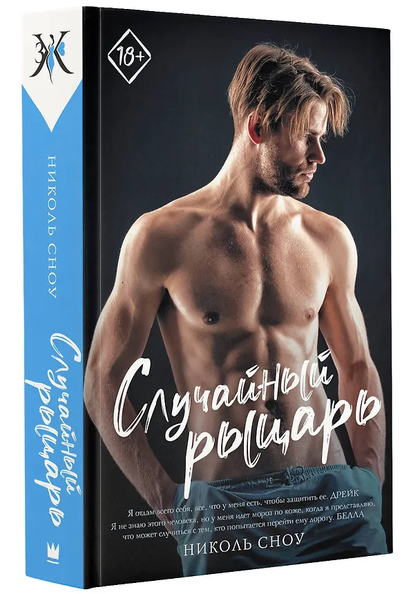 Книга Случайный рыцарь (Николь Сноу) — 4