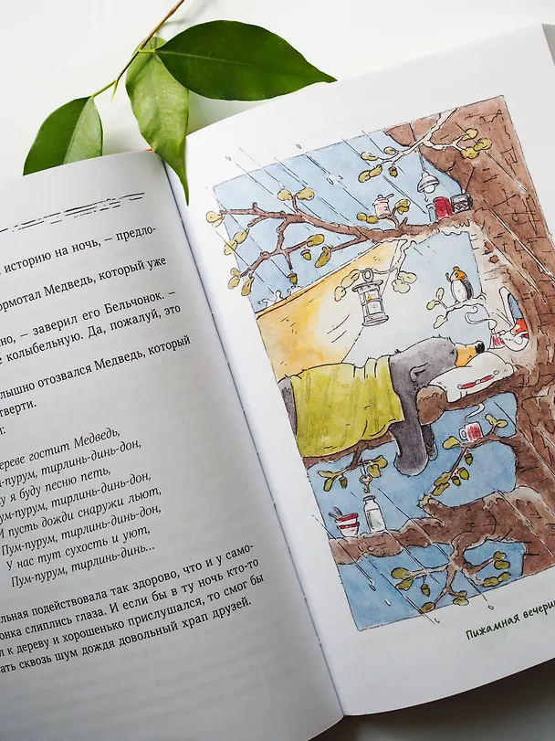 Книга Бельчонок, Медведь и охапка приключений. Повесть (Андреас Х. Шмахтл) — 9