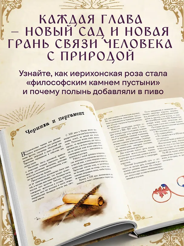 Книга Травология Средневековья. Чудодейственные растения, древние рецепты и непостижимые тайны трав (Магали Мотте, Сара Мотте) — 6