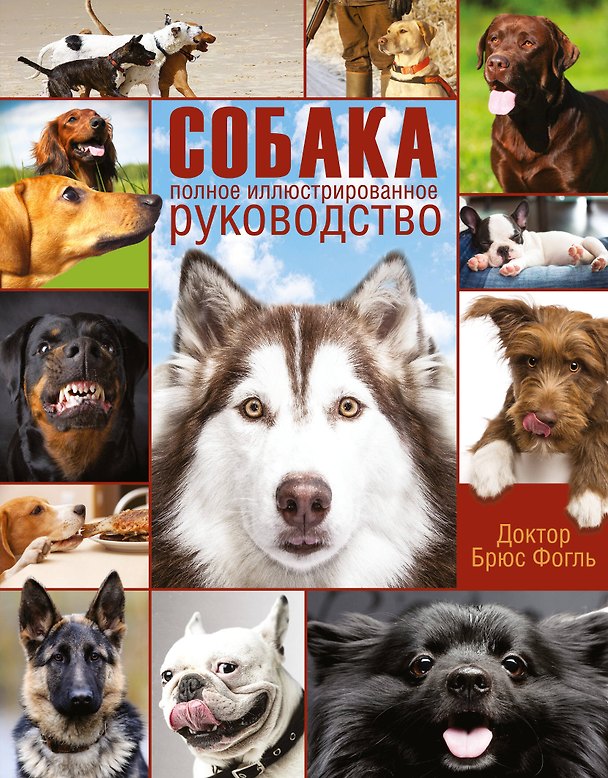 Книга Забота о вашей собаке (ISBN 5-17-021294-1 в суперобложке "Собака. Полное иллюстрированное руководство") () — 1