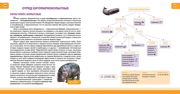 Книга Животные. Полная энциклопедия (Юлия Школьник) — 14