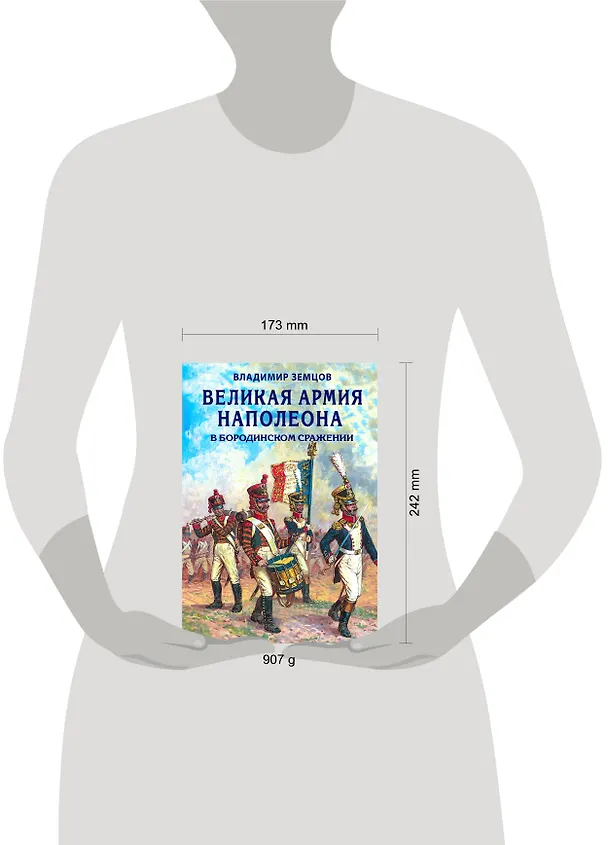 Книга Великая армия Наполеона в Бородинском сражении (Владимир Земцов) — 5