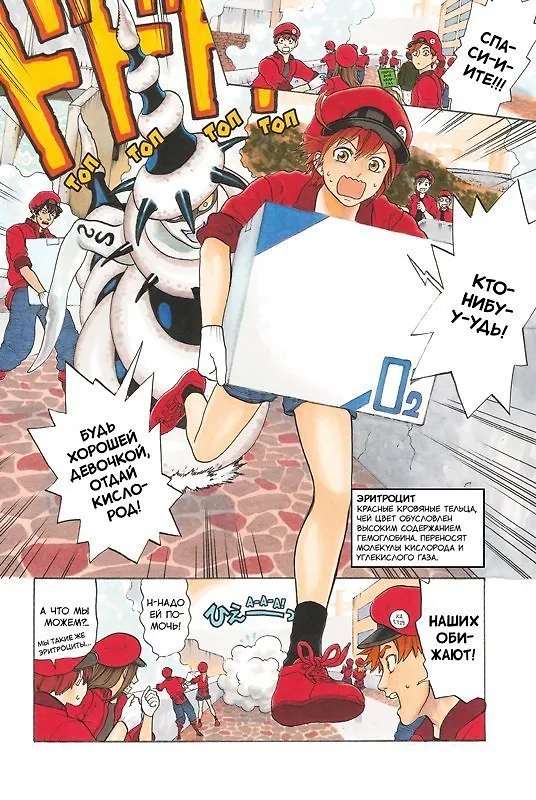 Клетки за работой. Том 2 (Hataraku Saibou). Манга 3093214 — 7