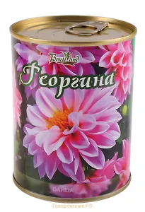 Цветок в банке "Георгина" (77024)