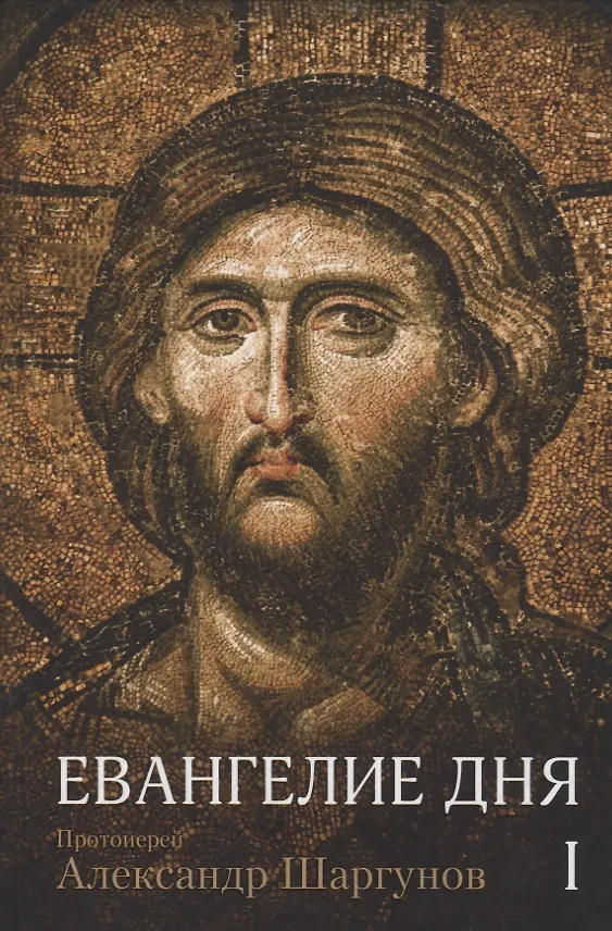 Книга Евангелие дня. Толкование Евангелия на каждый день богослужебного года. В 2 томах (комплект из 2 книг) (Александр Шаргунов) — 2