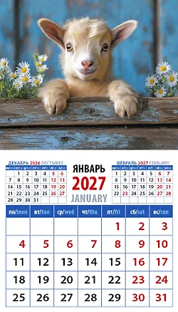 Календарь 2027г 94*167 «Год козы. Обаятельный малыш» на магните 3169593