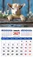 Календарь 2027г 94*167 «Год козы. Обаятельный малыш» на магните — 3169593 — 1