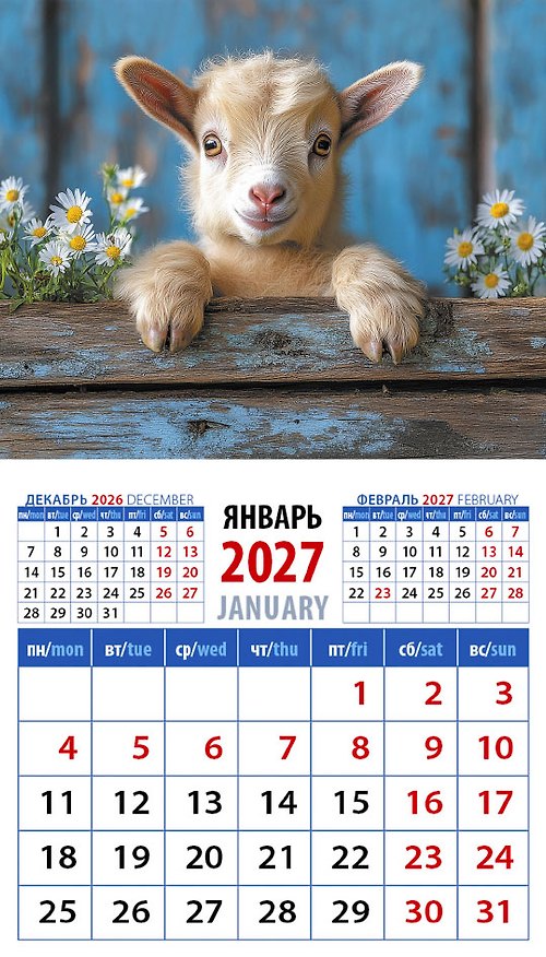 Календарь 2027г 94*167 «Год козы. Обаятельный малыш» на магните 3169593 — 1