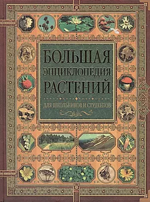 Большая энциклопедия растений для школьников и студентов — 2149739 — 1