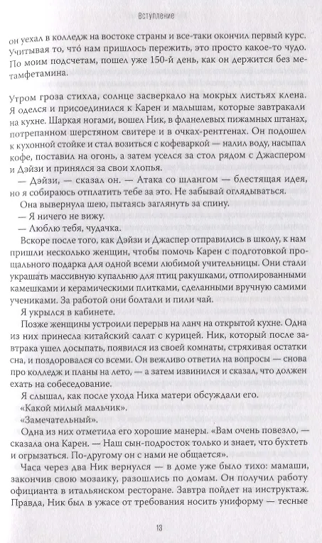 Книга Красивый мальчик. Правдивая история отца, который боролся за сына (Дэвид Шефф) — 10