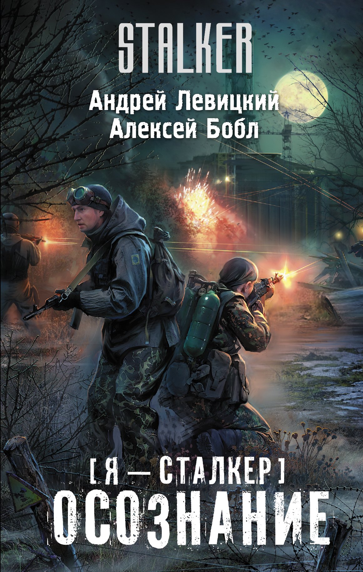 

Я-сталкер. Осознание: фантастический роман