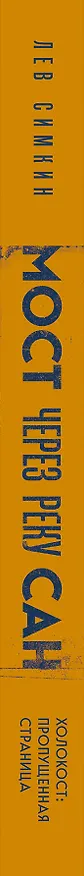 Книга Мост через реку Сан. Холокост: пропущенная страница (Лев Симкин) — 4
