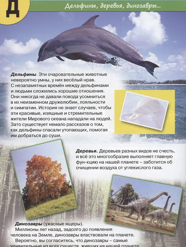 Книга Планета Земля от А до Я (Василий Климов) — 5