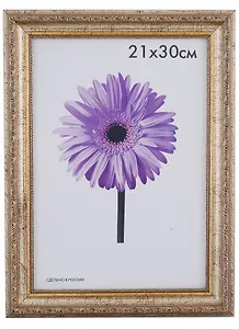 Рамка Dorothy Шампань 21*30см пластиковая