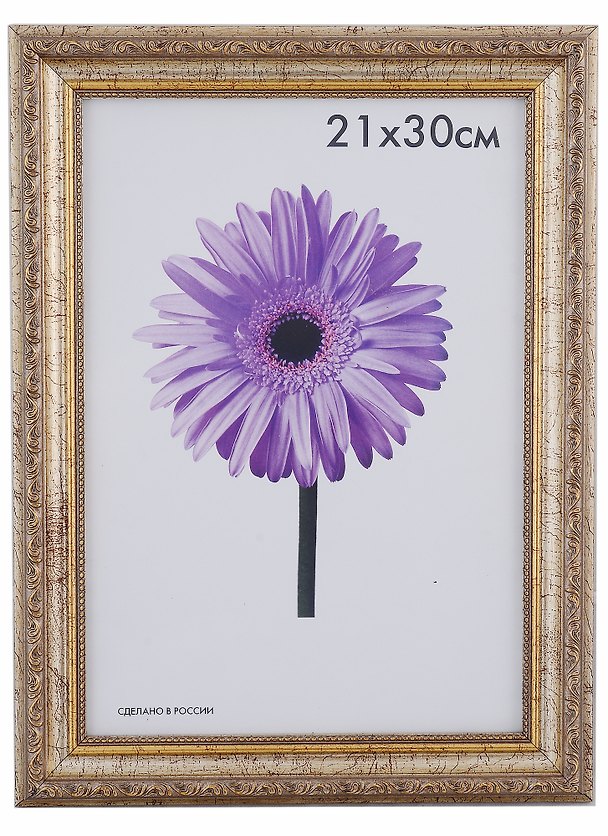 Рамка Dorothy Шампань 21*30см пластиковая 328627 — 1