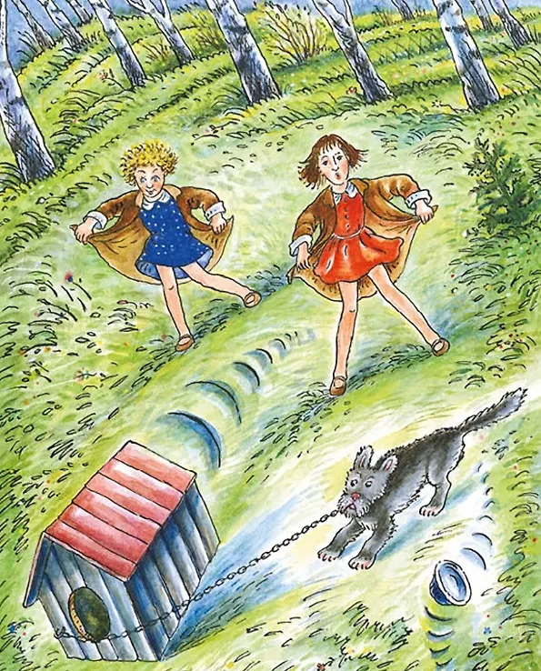 Книга Аня и Маня. Повесть (И. Грекова) — 6