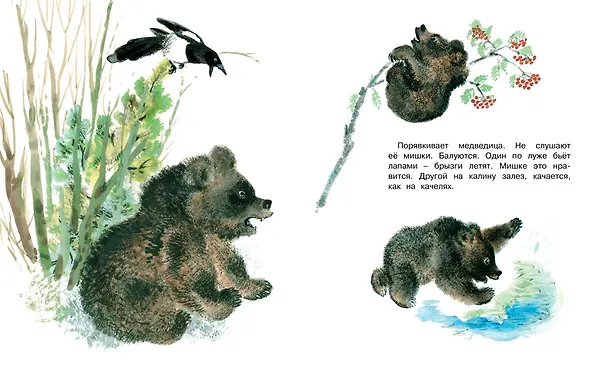 Книга Друзья (Евгений Чарушин) — 8
