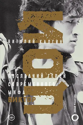 Книга Виктор Цой. Последний герой современного мифа (Виталий Калгин)